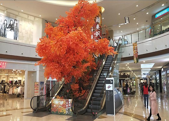 菏澤室內(nèi)dp點(diǎn)